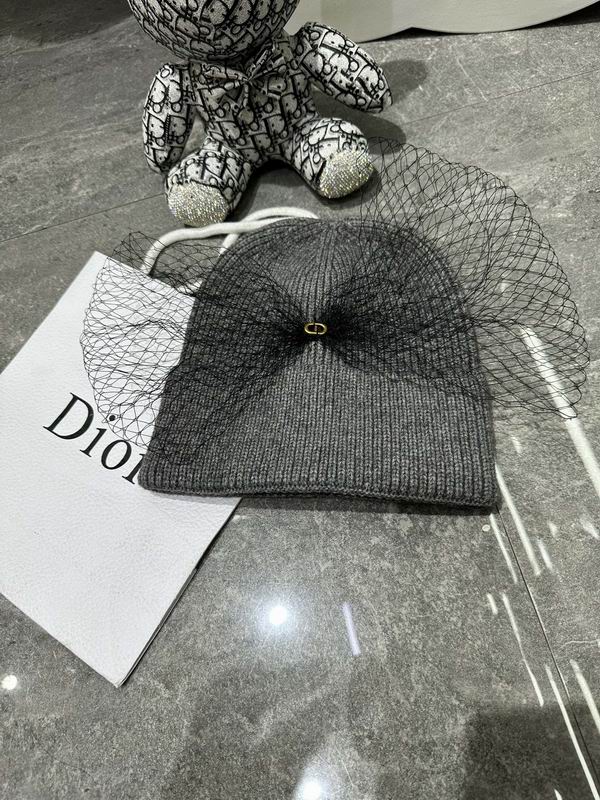 Dior Beanie ID:20260111-65